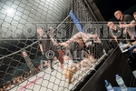 Cage Fighting_2012_Bout 11-28