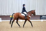 SBM_002615