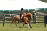 SBM_05223