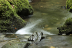 Dartmoor _ DR 007