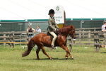 SBM_06830