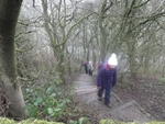 054 A forest climb.