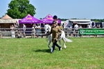 SBM_05883