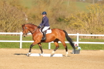 SBM_003448