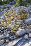 _DSC0922