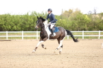 SBM_003341