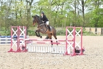 BPP_6975