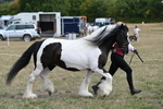 WJ6_6529