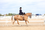 SBM_03415