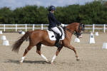 SBM_020341
