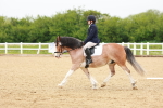 SBM_005956