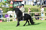 SBM_51976