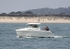 090419 GEORGIE IMG_3972