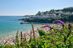 A busy summer day at Looe from the Coastpath