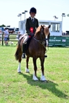 SBM_08098