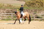 SBM_011192