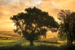 Early Autumn Sunrise
