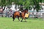 SBM_08011