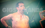 Pigsx7-71