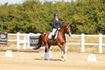 SBM_017622