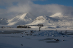 Black mount (1)