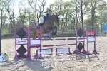 BPP_4474