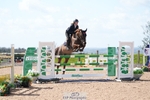 Saturday 28th - Click to View portfolio