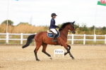 SBM_006820