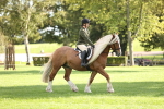 SBM_26356