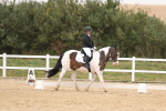 SBM_00437