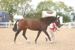 SBM_17033