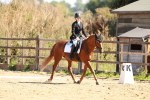 SBM_010687