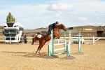 SBM_002195