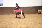 SBM_001292