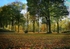 Cinquantenaire Park - November 2012