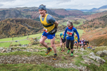 Stybarrow Dodd-484