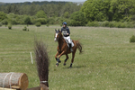 BVHT 140517  IXC -411