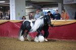 SBM_14894