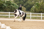 SBM_01592