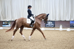 SBM_000401
