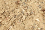 SBM_001875