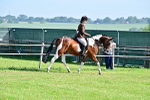 SBM_11591