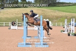 BPP_6631