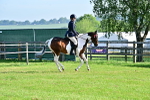 SBM_11391