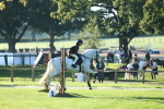 SBM_37361