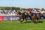 220926-Race 6-Coolree-4742