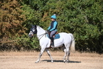 WJ6_6917