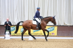 SBM_008903