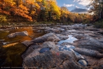 River Wild