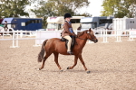 SBM_14413
